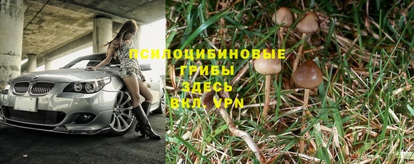 СК Алексеевка