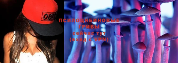СК Алексеевка