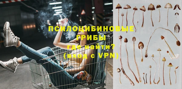 дмт Алексин