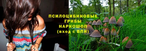 соль ск Себеж