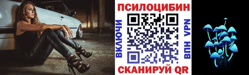 Галлюциногенные грибы GOLDEN TEACHER  Санкт-Петербург 