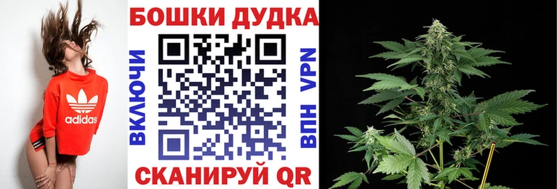 Марихуана Amnesia  MEGA ссылка  Санкт-Петербург  закладка 